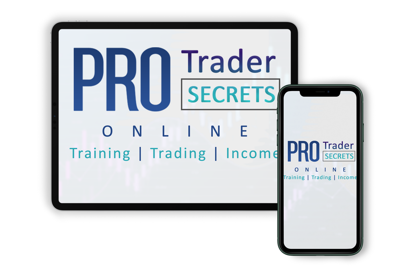 PRO TRADER SECRETS